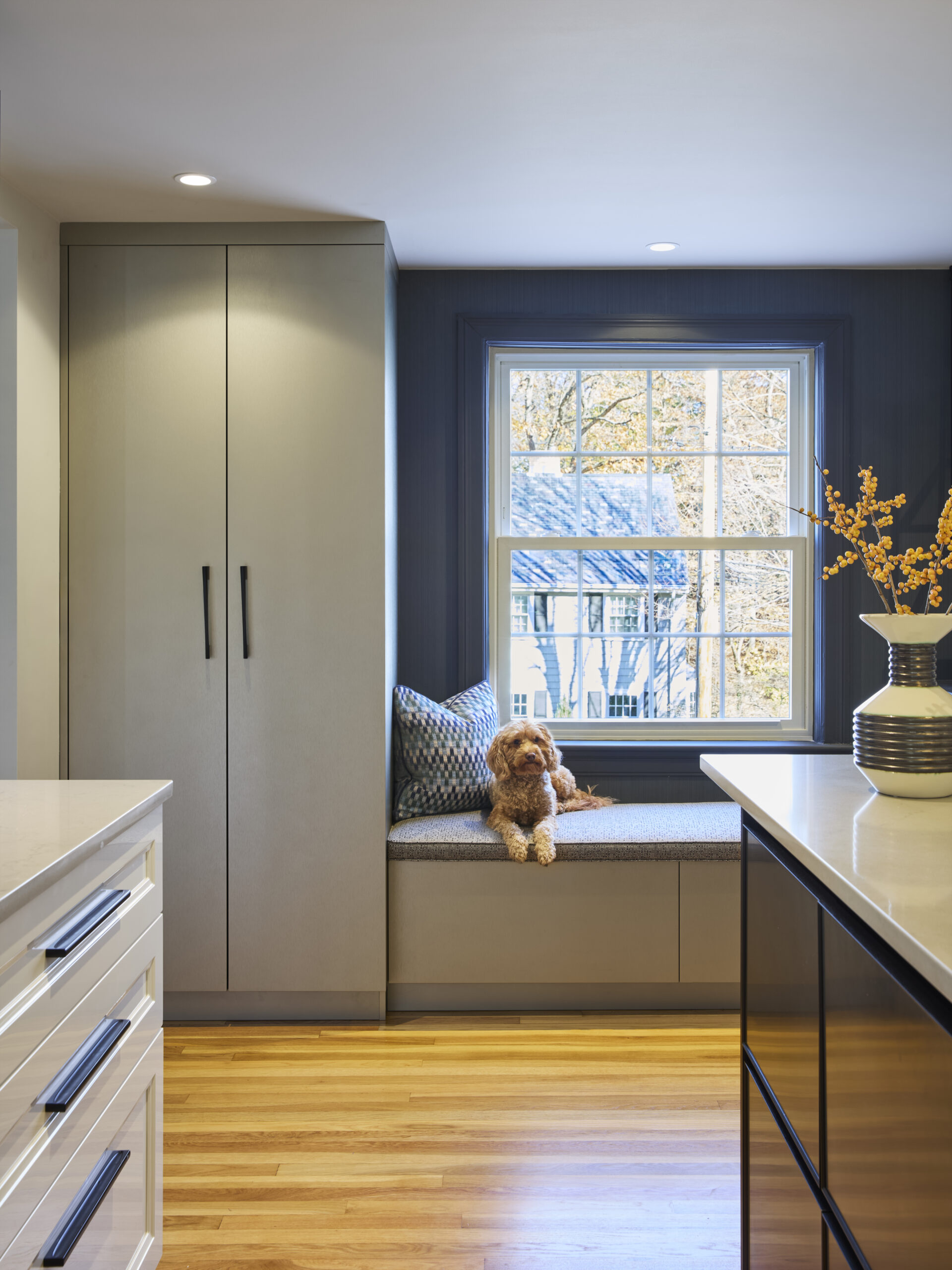 A small dog lies on a cushioned window seat in a modern kitchen with light cabinets, wood flooring, and a vase of flowers—showcasing luxury interior design by an expert Interior Designer Massachusetts.
